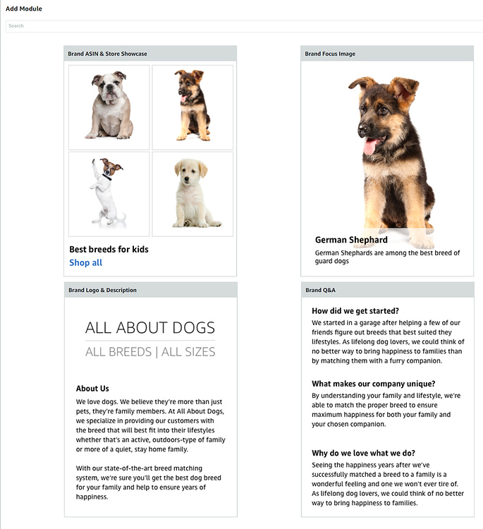 Guide on the A+ modules, both Brand Story and A+ content